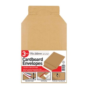 Cardboard Envelope