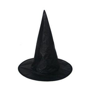 Halloween Adult Witch Black Hat